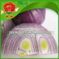 Chinese fresh red onions in mesh bag